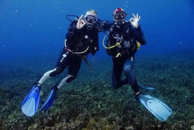 海洋光谱号无线网需要提前预约吗游戏画面