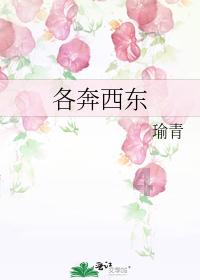揭开天空之谜3